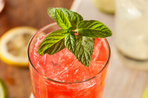 Berry Mojito