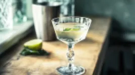 Kangaroo Vodka Martini